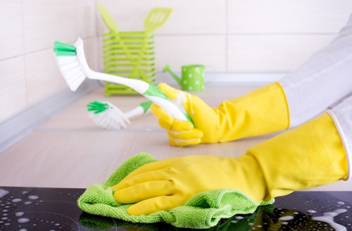 Professional carpet cleaning in Harrow On The Hill for a bright living room floor