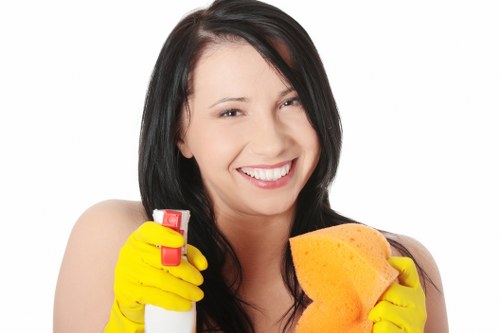 Carpet stain removal and maintenance service